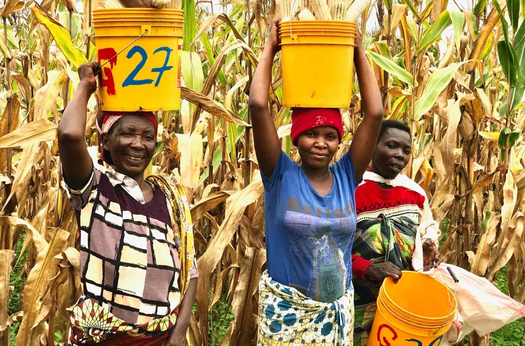 Foundations for Farming in Burundi