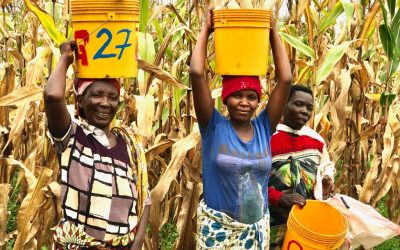 Foundations for Farming in Burundi